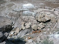 Crystal forest FP (24).JPG